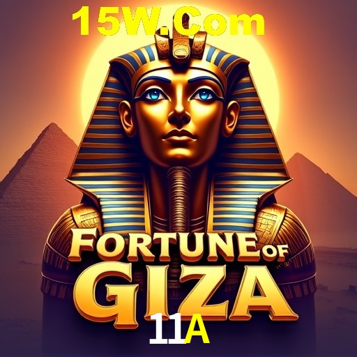 11A Rio de Janeiro - Bonus Terms